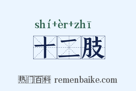 十二肢是什么意思的图片